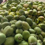 Cortes Distributor Inc 1 1