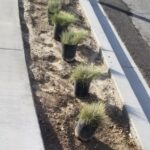 Excellence Landscaping And Maintenance 1 1