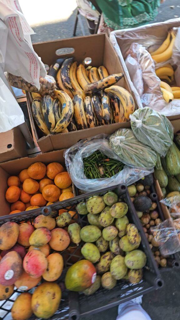 Frutas El Guicho 3 1