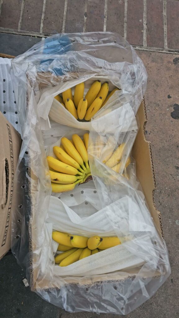 Frutas El Guicho 5 1