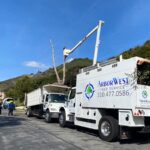 Sergio Contreras Landscape Inc 1 1