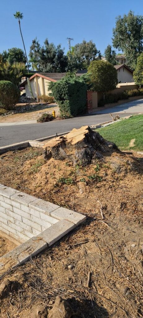 Wetland Landscaping Maintenance 3 1