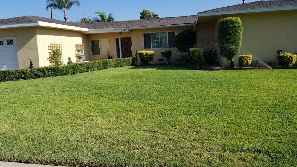 Wetland Landscaping Maintenance 4 1