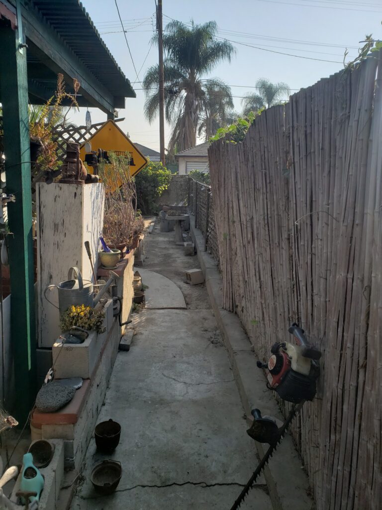 Wetland Landscaping Maintenance 5 1