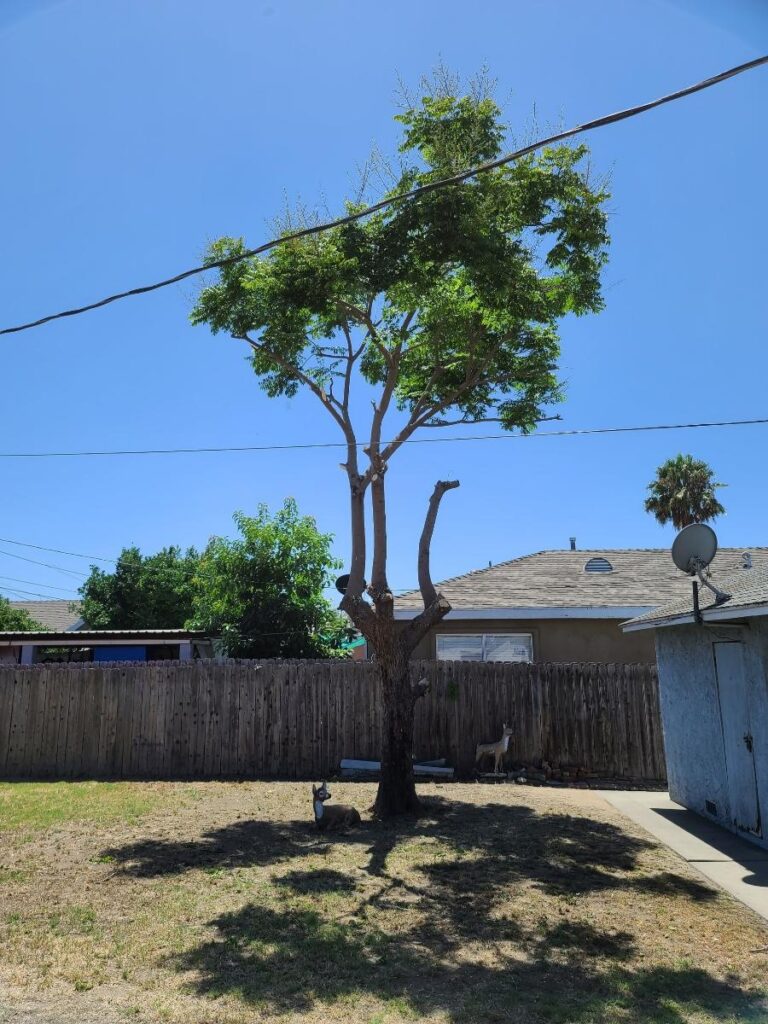 Wetland Landscaping Maintenance 6 1