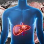 Cuál es la carne más saludable para facilitar la regeneración del hígado - Image 01 (February 5, 2026)