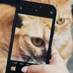 IA Desarrolla un Ser Animado Artificial con Visión Operativa que Asombra a la Ciencia - Image 01 (February 23, 2026)