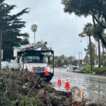 Vientos intensos y árboles derribados marcan la reciente serie de tormentas. - Image 01 (February 17, 2026)