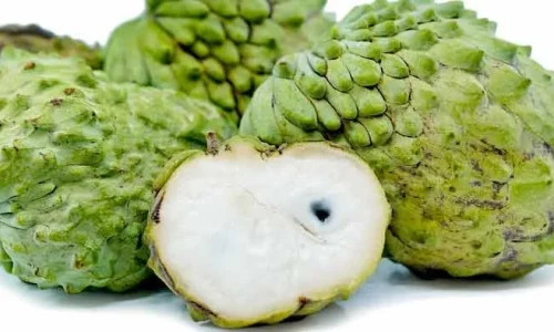 Cortes Distributor Inc 2 1