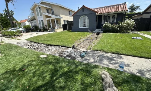 Diaz Landscaping Services 4 1