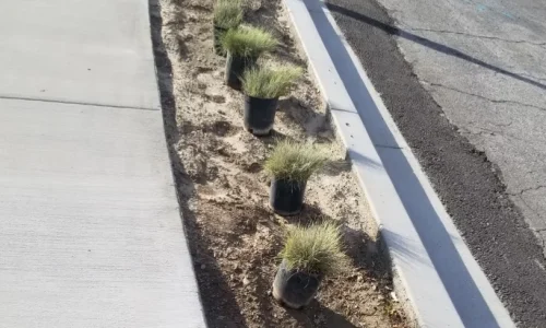 Excellence Landscaping And Maintenance 1 1