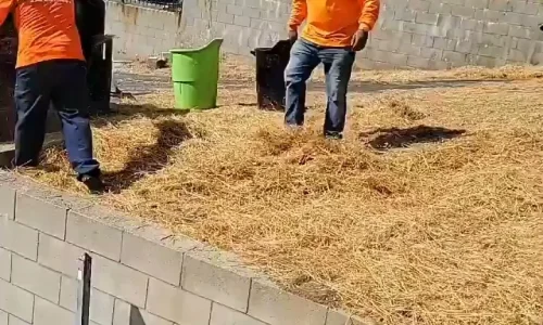 Excellence Landscaping And Maintenance 2 1