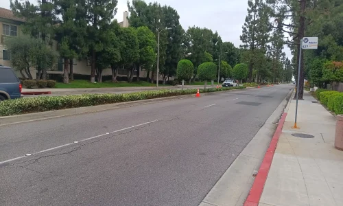 Excellence Landscaping And Maintenance 4 1