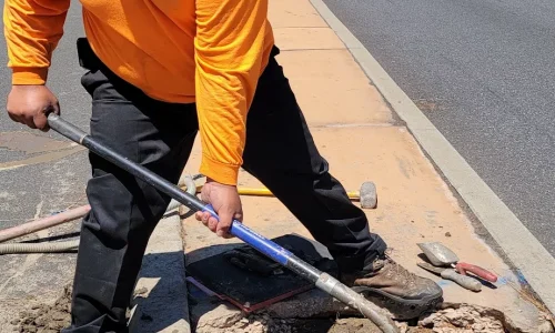 Excellence Landscaping And Maintenance 6 1