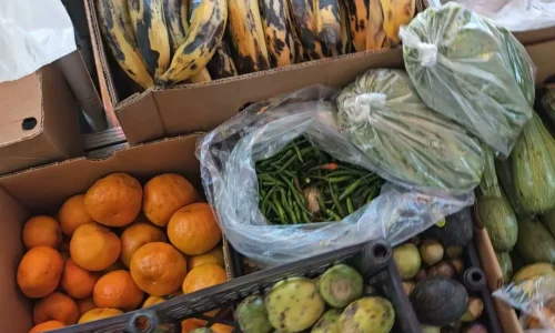 Frutas El Guicho 3 1