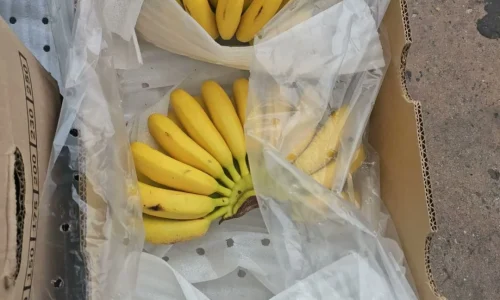 Frutas El Guicho 5 1