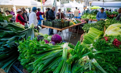 Frutas Y Verduras El Griton 1 1