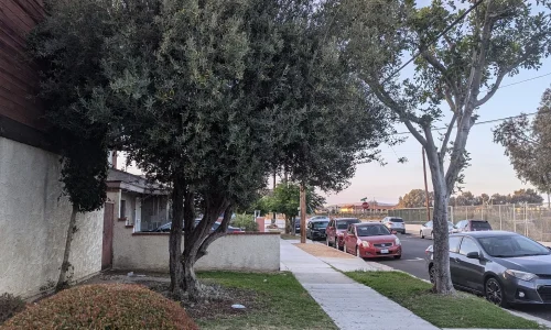 Gabriels Tree Service And Landscaping 6 1