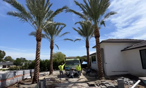 Hidden Gem Landscaping Inc 6 1