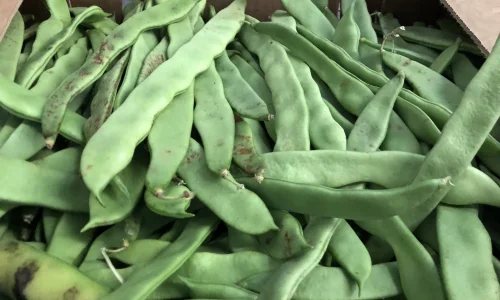 King Quality Produce Inc 3 1