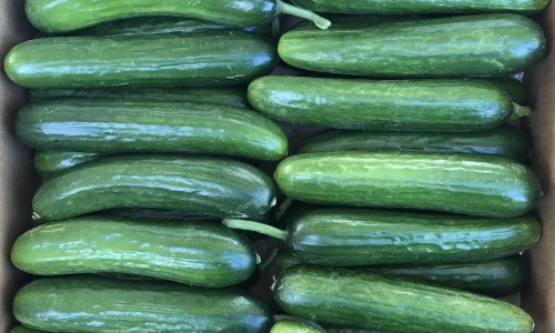 King Quality Produce Inc 4 1