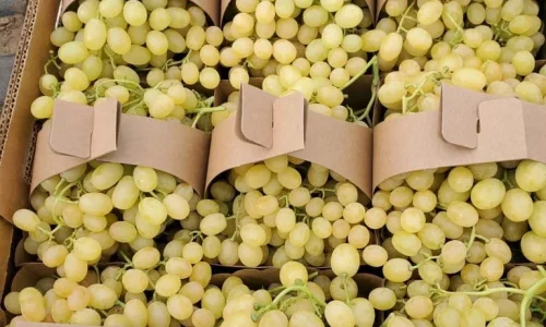 La Fruit Nest Inc 4 1