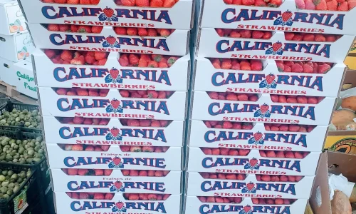 La Michoacana Wholesale Fruits 2 1