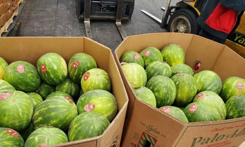 La Michoacana Wholesale Fruits 4 1