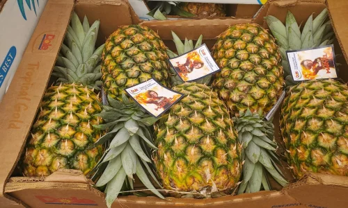 La Michoacana Wholesale Fruits 6 1