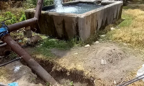 Los Angeles Landscaping Services 3 1