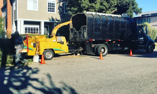 Majestic Landscaping Inc 2 1