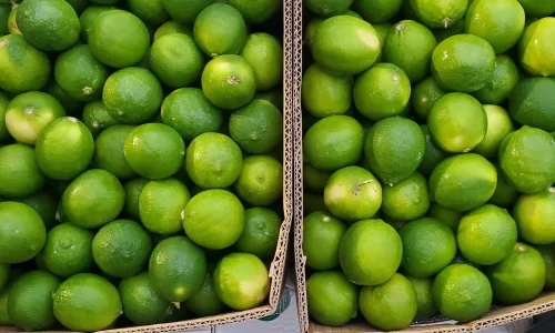 P R G Produce Corp 2 1