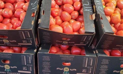 P R G Produce Corp 3 1