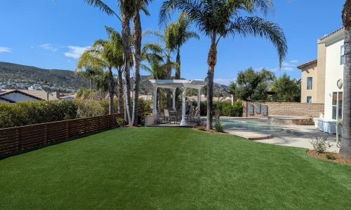 Rainforestla Inc 1 1