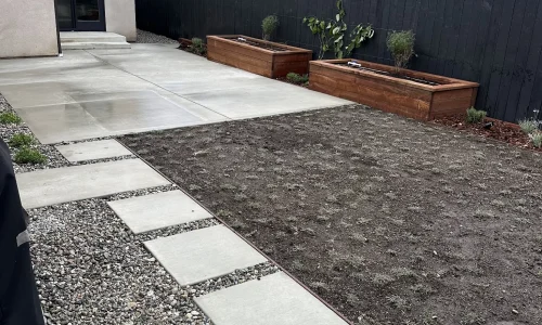 Rainforestla Inc 2 1