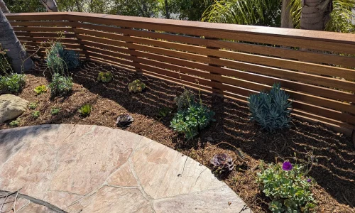 Rainforestla Inc 3 1