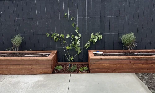 Rainforestla Inc 4 1