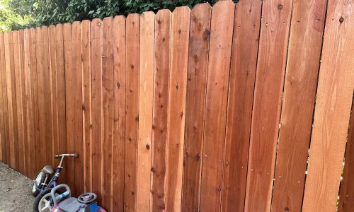 Rainforestla Inc 6 1