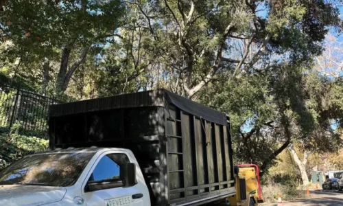 Reveles Landscaping Amp Tree Service 4 1