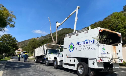 Sergio Contreras Landscape Inc 1 1