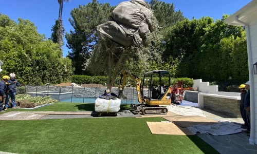 Sergio Contreras Landscape Inc 6 1