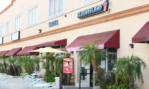 Slusheeland 8211 Frozen Treats And Snacks 1 1