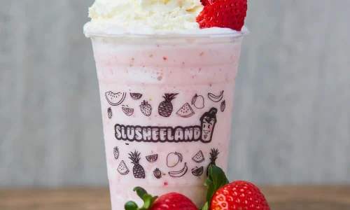 Slusheeland 8211 Frozen Treats And Snacks 5 1
