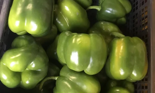 Vanessa8217s Produce 1 1