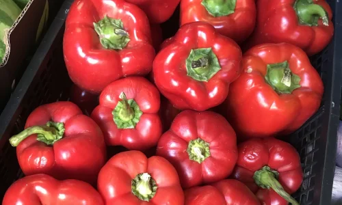 Vanessa8217s Produce 3 1