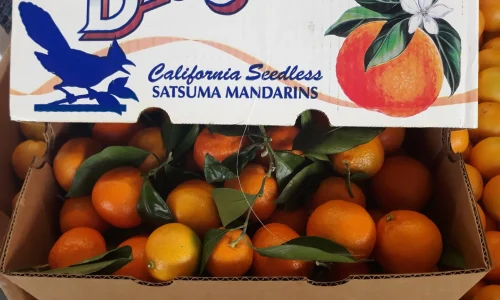 Vanessa8217s Produce 4 1