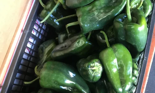 Vanessa8217s Produce 5 1