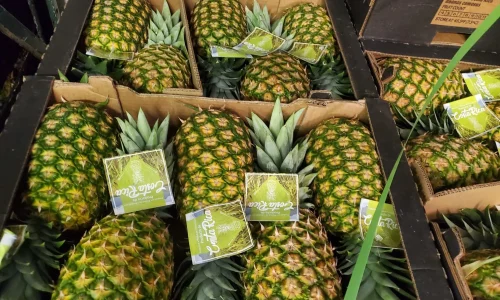 Ventura Produce Inc 2 1