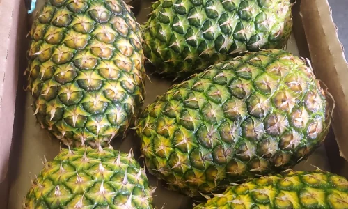 Ventura Produce Inc 5 1