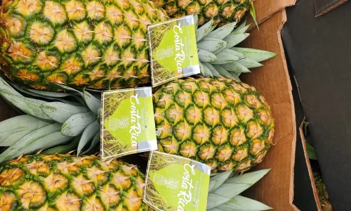 Ventura Produce Inc 6 1